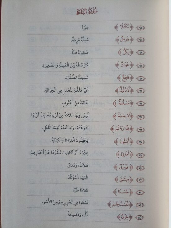 السراج في بيان غريب القرآن – Image 3