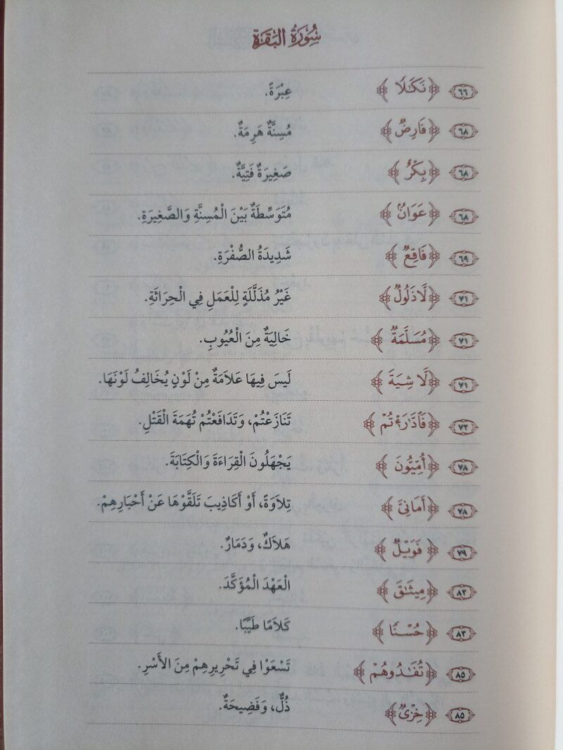Alternative view of السراج في بيان غريب القرآن