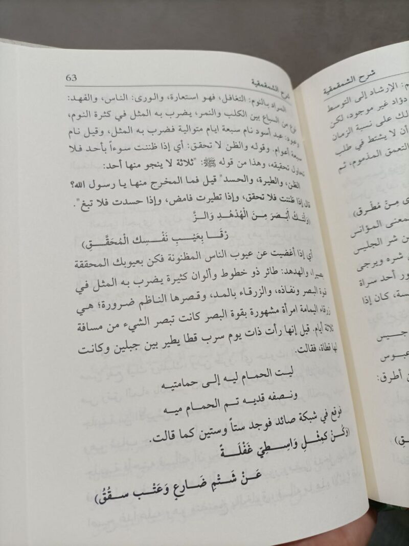 Alternative view of شرح الشمقمقية