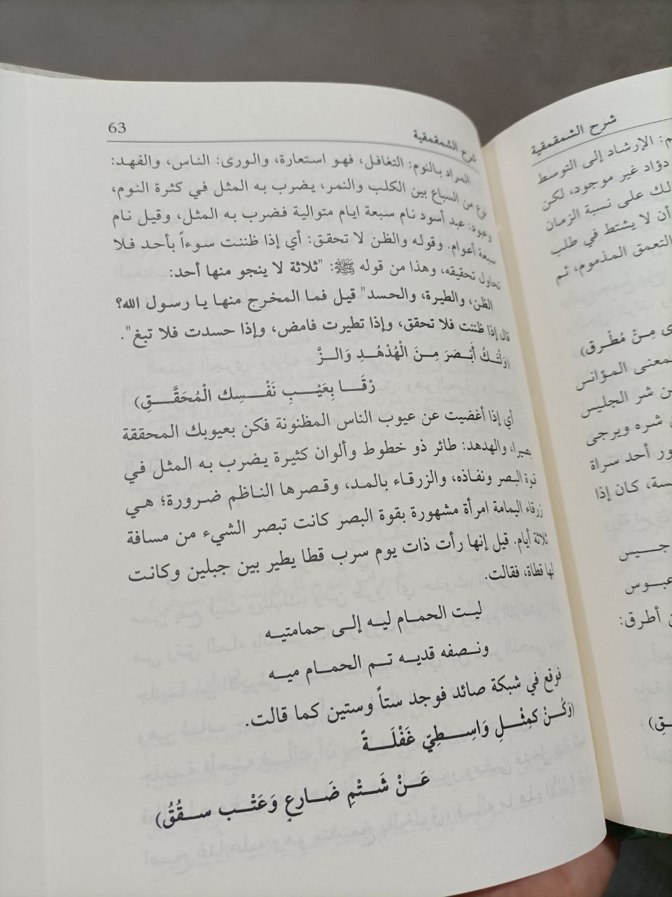 شرح الشمقمقية – Image 2