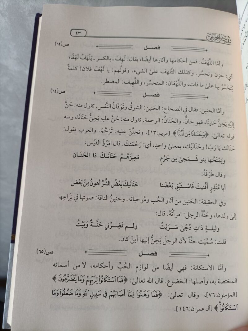 Alternative view of روضة المحبين